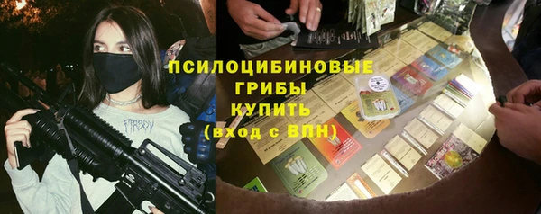 ГАЛЛЮЦИНОГЕННЫЕ ГРИБЫ Балабаново