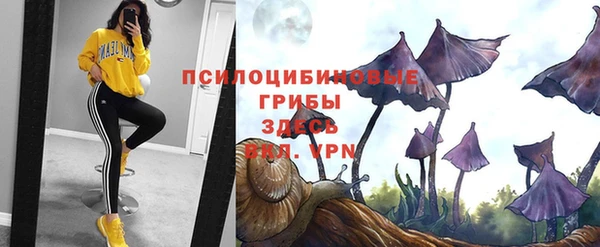ешки Баксан