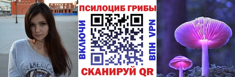 Псилоцибиновые грибы GOLDEN TEACHER  где продают   Котельниково 